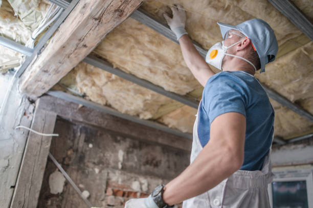 Best Insulation Materials and Products in South Oroville, CA